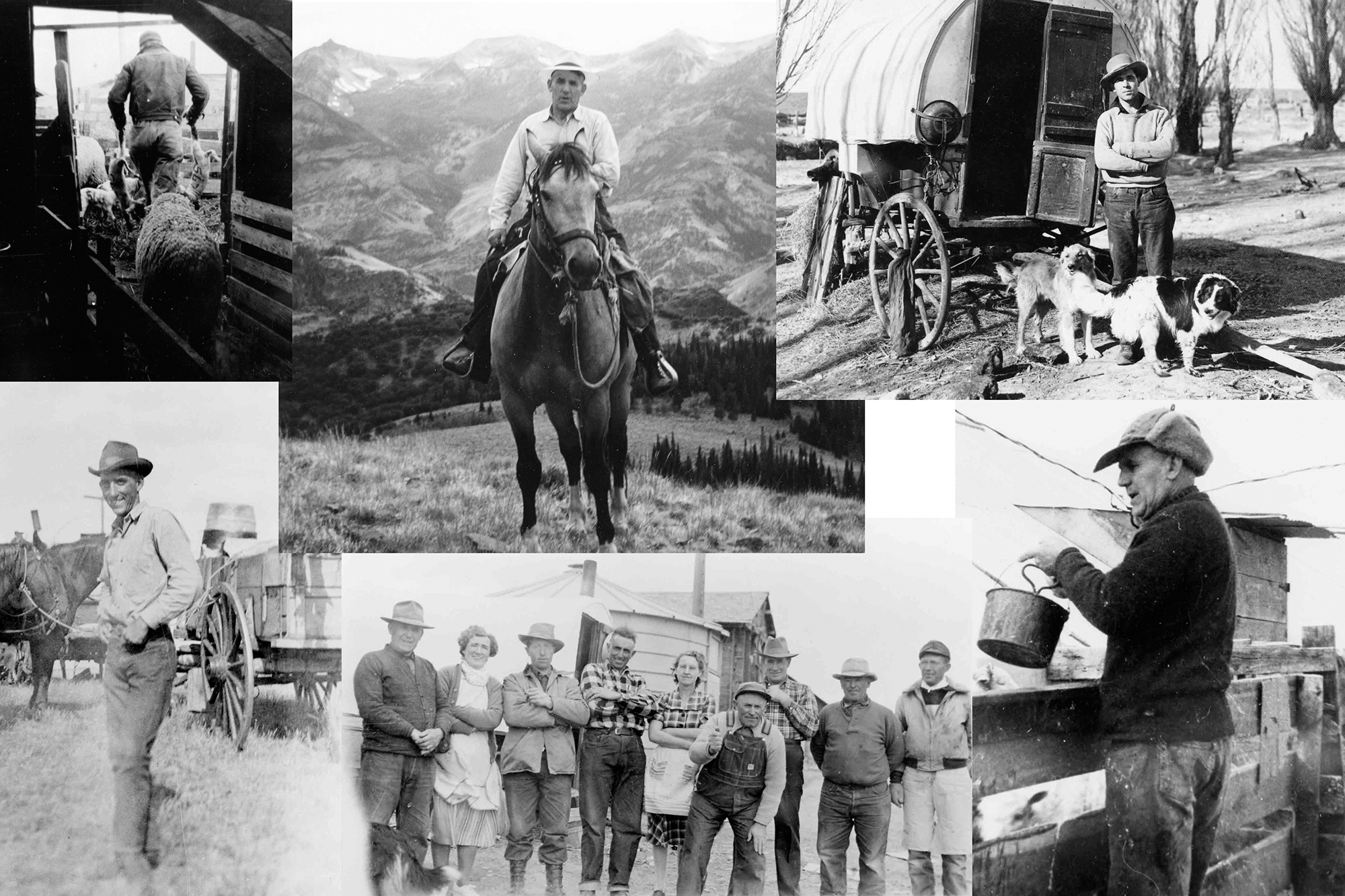 History - Barinaga Ranch