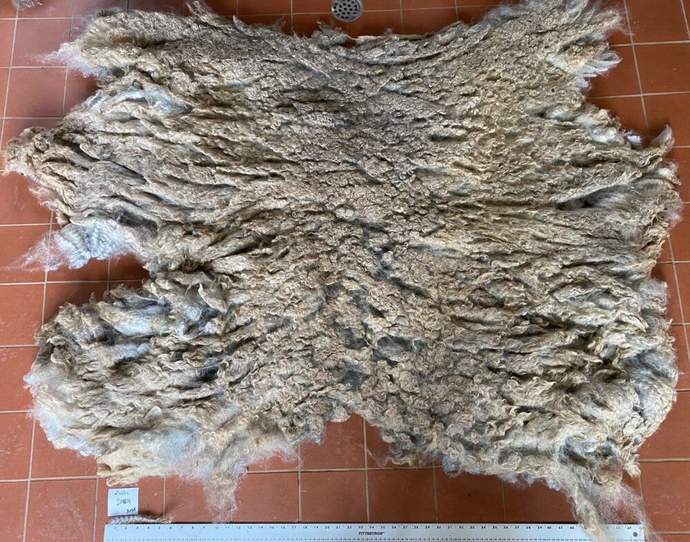 Lulu: Grey Romney Raw Fleece - Image 7