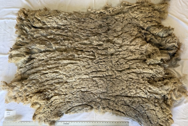 Lulu: Grey Romney Raw Fleece - Image 9