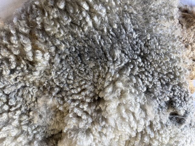 Lulu: Grey Romney Raw Fleece - Image 8
