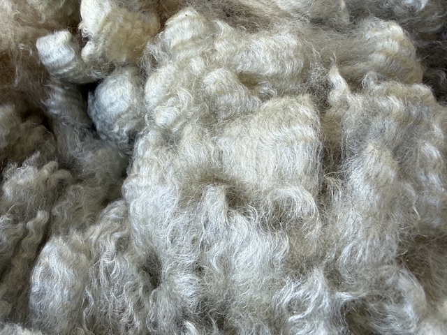 Lulu: Grey Romney Raw Fleece - Image 6