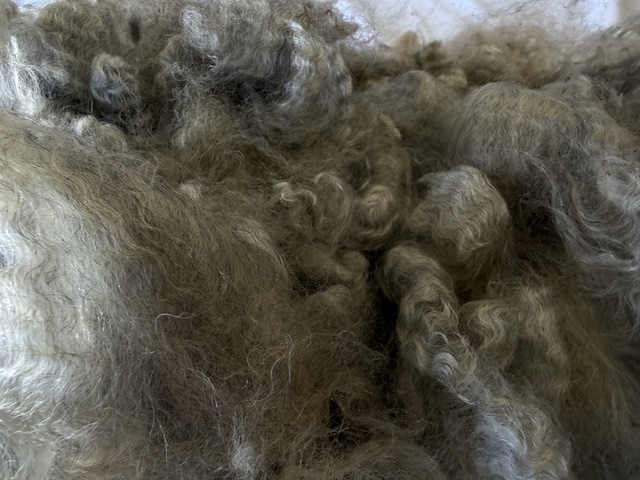 Lulu: Grey Romney Raw Fleece - Image 5