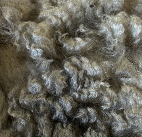 Lulu: Grey Romney Raw Fleece