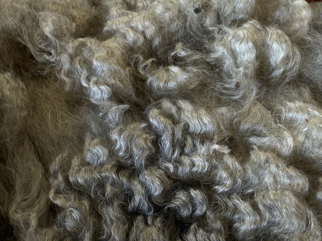 Lulu: Grey Romney Raw Fleece