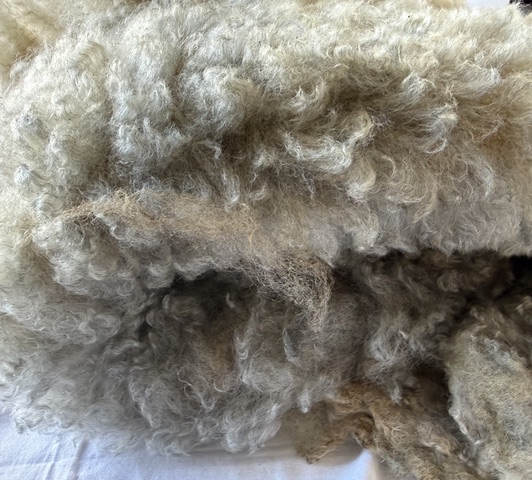 Lulu: Grey Romney Raw Fleece - Image 4