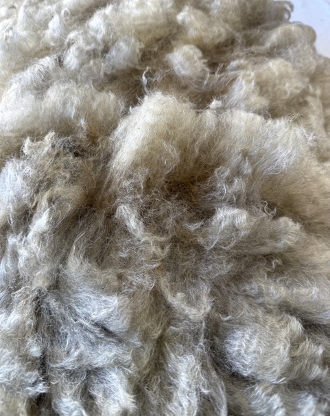 Lulu: Grey Romney Raw Fleece - Image 3