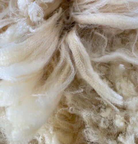 Mist: White Cormo/Corriedale Raw Fleece