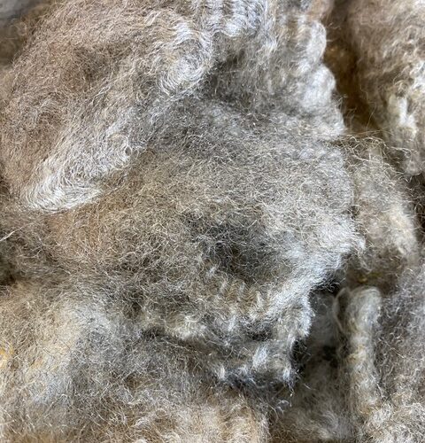 Hebe: Light-grey Romney Raw Fleece