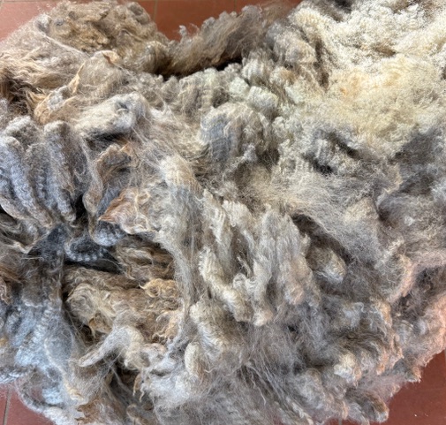 Casita: Grey Romney Raw Fleece - Image 3