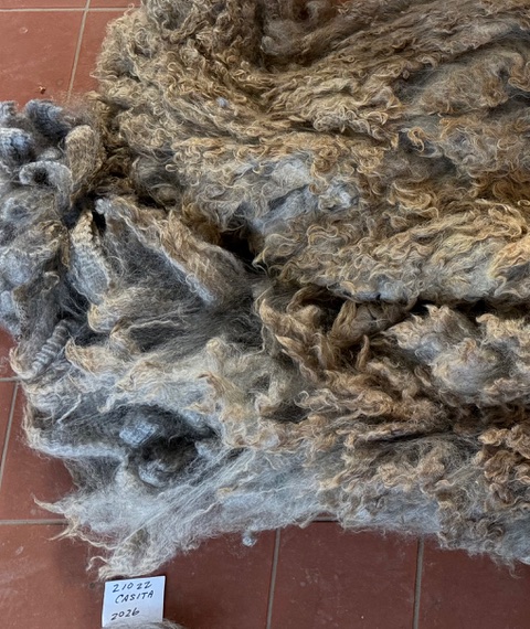 Casita: Grey Romney Raw Fleece - Image 2