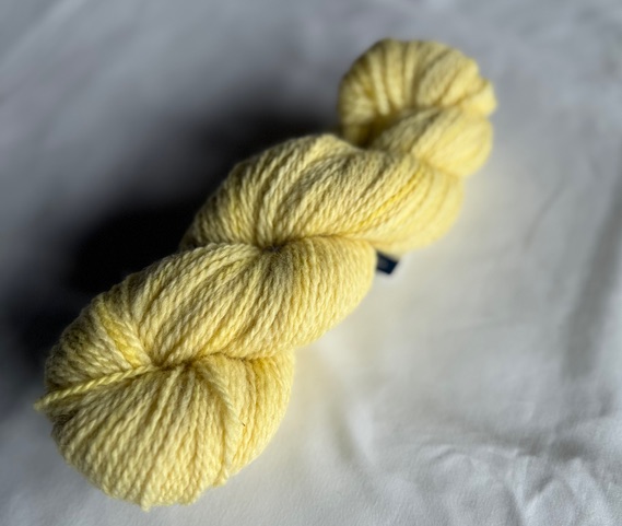 East Friesian Worsted-Weight Yarn: Hand-dyed with Chamomile - Image 2