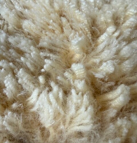 Daisy: Corriedale-Cormo Raw White Fleece
