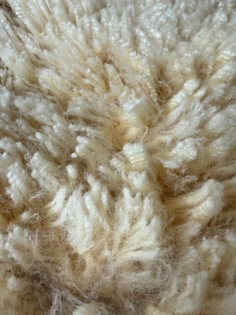 Daisy: Corriedale-Cormo Raw White Fleece