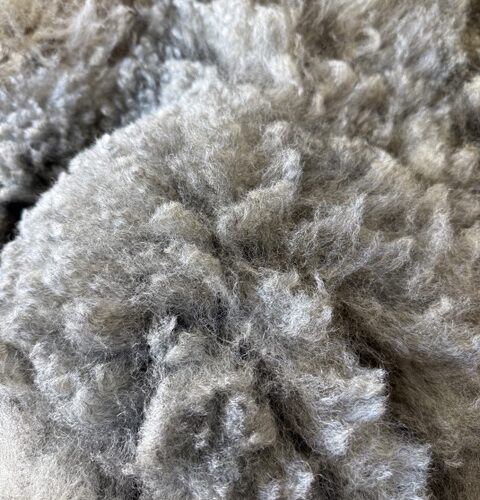 Choco: Grey Romney Raw Fleece