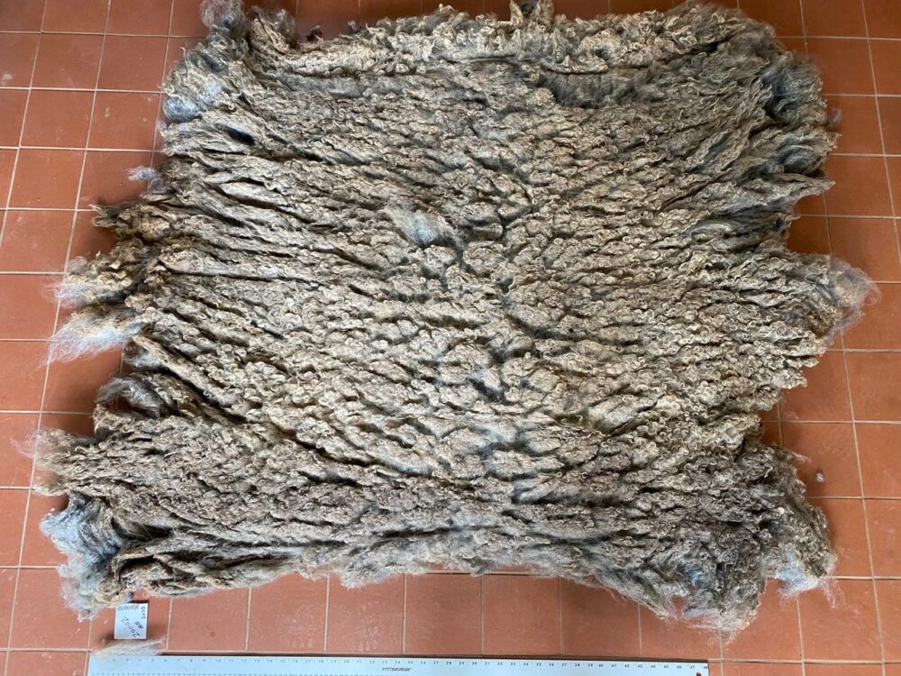 Aurora: Grey Romney Raw Fleece - Image 8