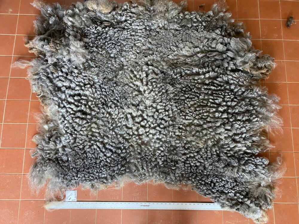 Aurora: Grey Romney Raw Fleece - Image 7