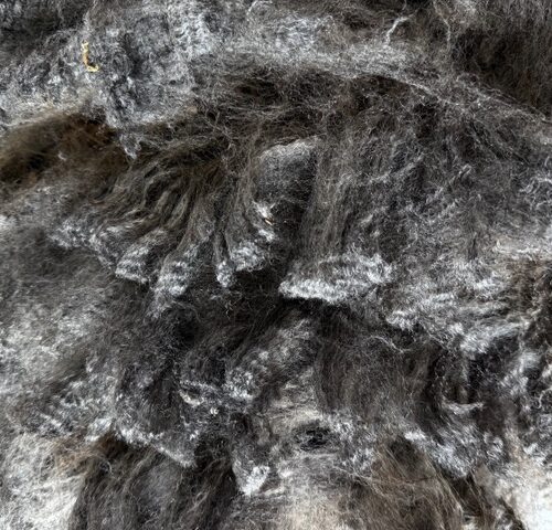 Bungalow: Grey Romney Raw Fleece