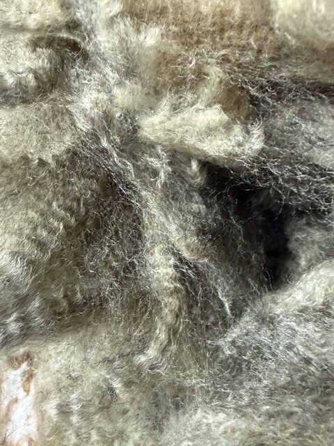 Quail: Grey Romney Raw Fleece - Image 7