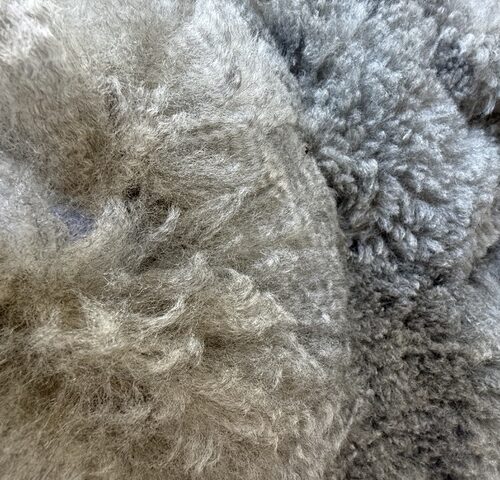 Lily: East Friesian x Romney "Romnesian" Grey Raw Fleece