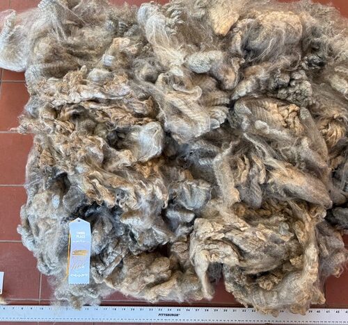 Brenda: Grey Romney Raw Fleece