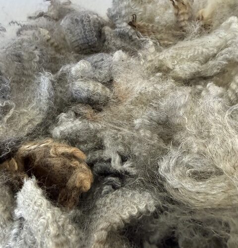 Celeste: Mid-grey Romney Raw Fleece