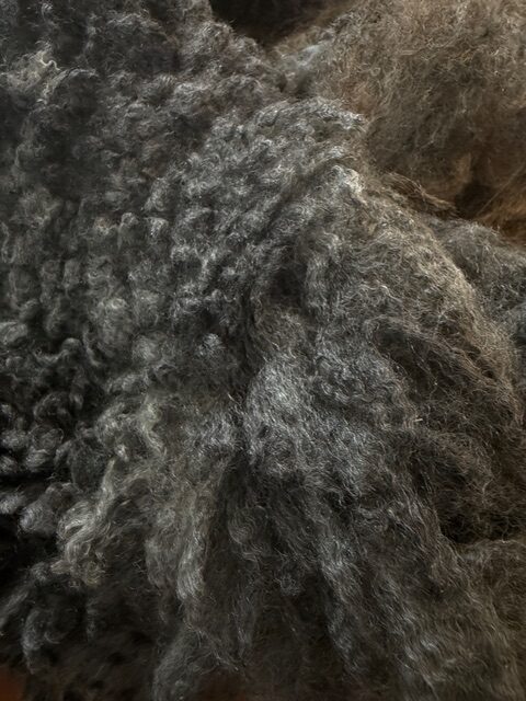 Bungalow: Grey Romney Raw Fleece - Image 5