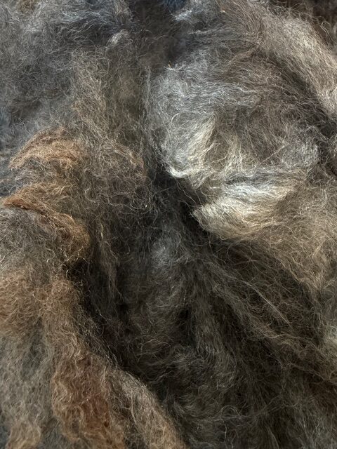 Bungalow: Grey Romney Raw Fleece - Image 4