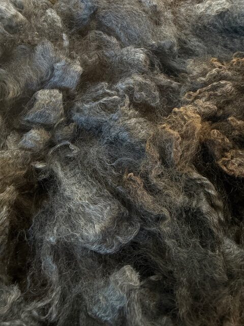 Bungalow: Grey Romney Raw Fleece - Image 3