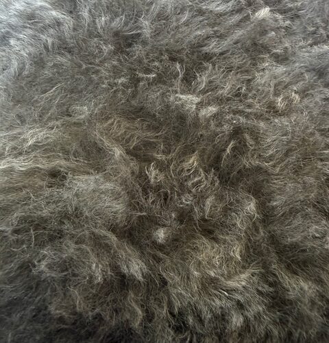 Cinder: Grey Corriedale Raw Fleece