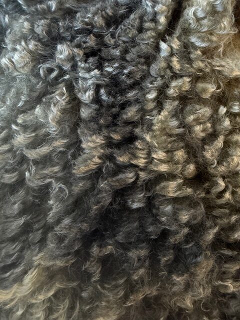 Lucy: Grey Romney Raw Fleece - Image 3