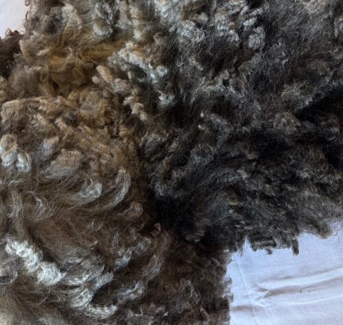 Ranita: Grey Romney Raw Fleece