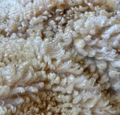 Heidi: White Romney Raw Fleece
