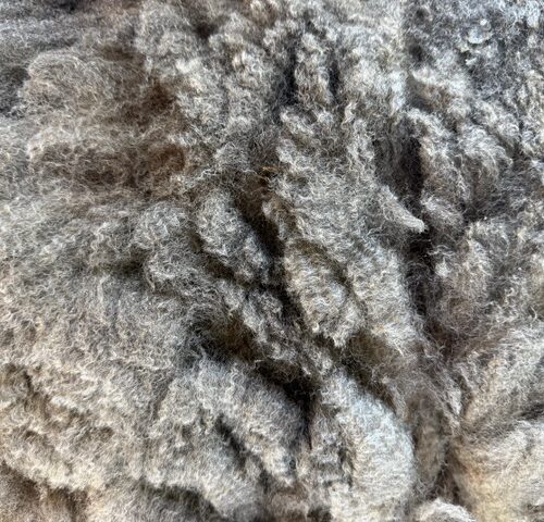 Shade: Grey Corriedale Raw Fleece
