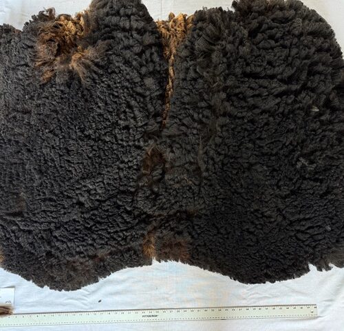 Ember: Cormo/Corriedale Black Fleece