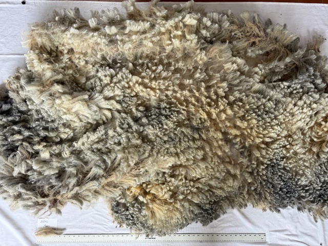Moon: Grey Romney Raw Fleece - Image 7