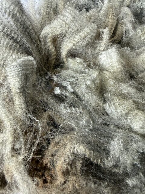 Moon: Grey Romney Raw Fleece