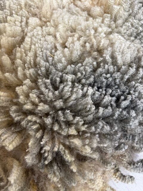 Moon: Grey Romney Raw Fleece - Image 5