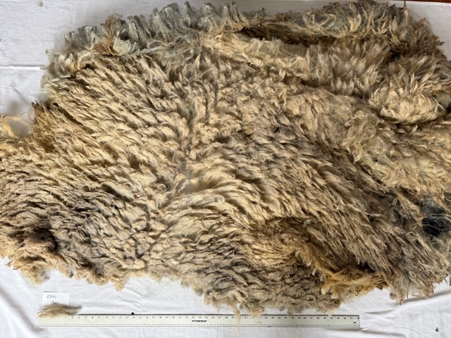 Moon: Grey Romney Raw Fleece - Image 3