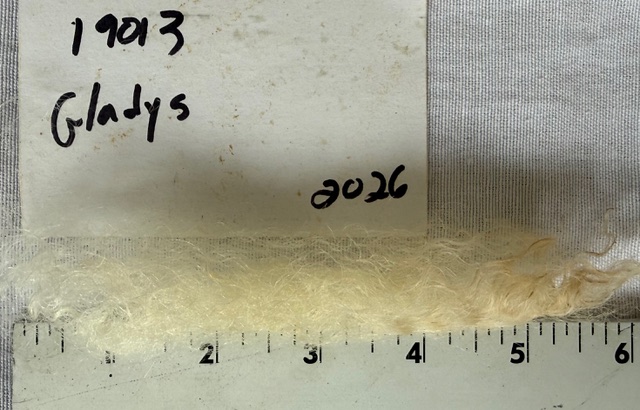 Gladys: White Romney Raw Fleece - Image 9