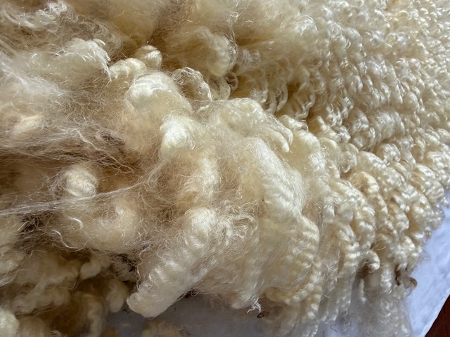 Gladys: White Romney Raw Fleece - Image 4