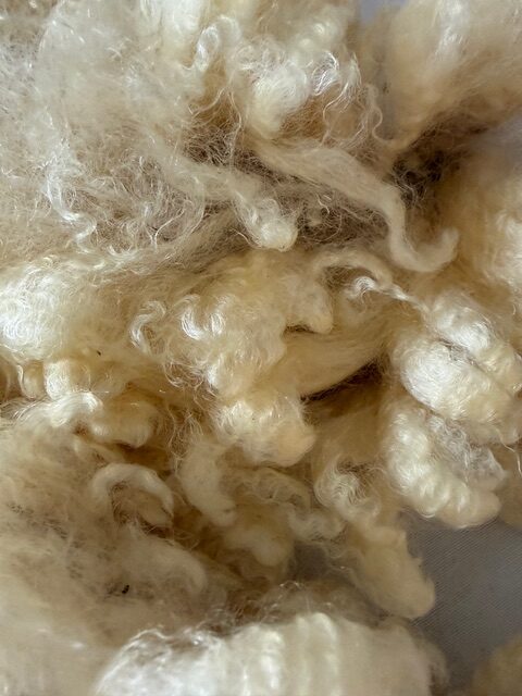 Gladys: White Romney Raw Fleece - Image 3