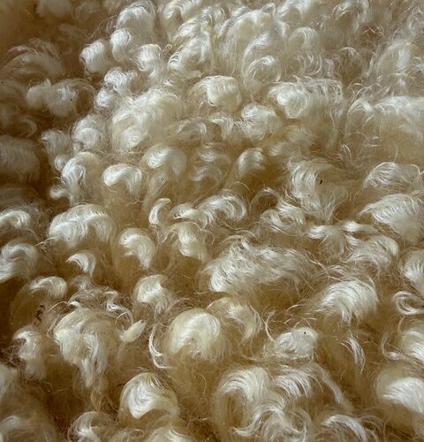 Gladys: White Romney Raw Fleece