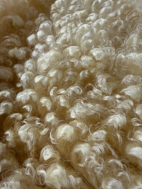 Gladys: White Romney Raw Fleece