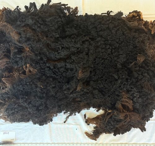 Ash: 63% Cormo Black Fleece