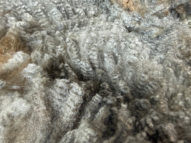 Opal: Grey Romney Raw Fleece - Image 10