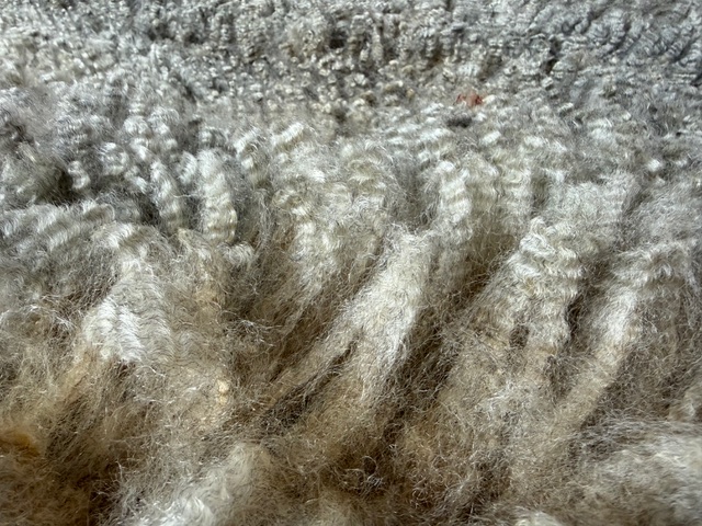 Opal: Grey Romney Raw Fleece - Image 9