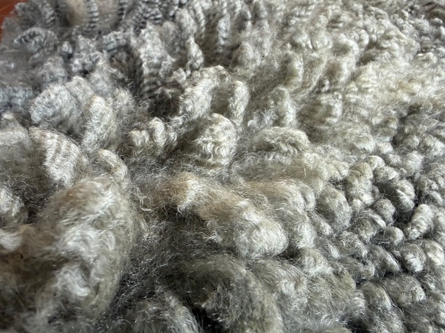 Opal: Grey Romney Raw Fleece - Image 7