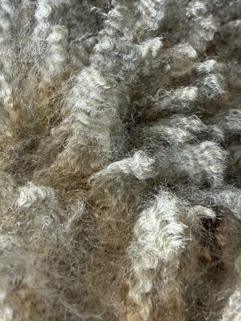 Opal: Grey Romney Raw Fleece - Image 2