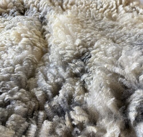 Fangs: Grey Romney Raw Fleece